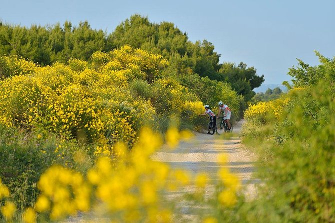 Trip to History of Vodice by Electric Bike - Electric Bike Rental