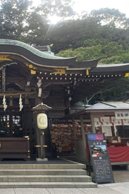 Trip to Kamakura & Enoshima: Shrines, Seaside, Temples &Tea - Transportation Details