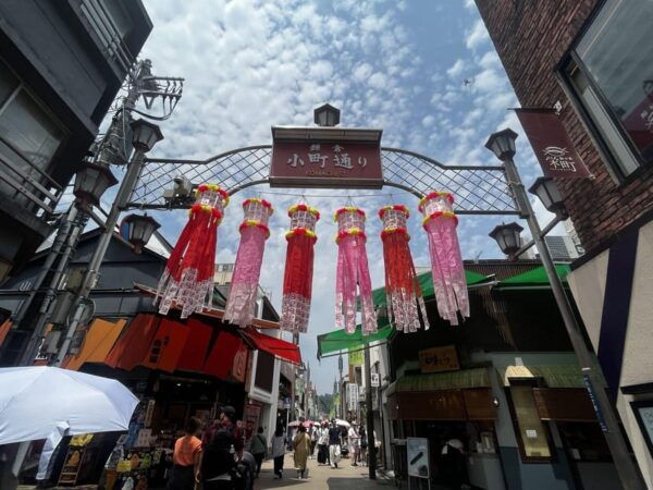 Trip to Kamakura & Enoshima: Shrines, Seaside, Temples &Tea - Best Time to Visit