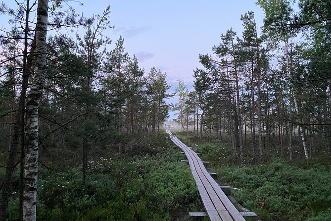 Trip to Kemeri National Park & Jurmala From Riga - Tour Details