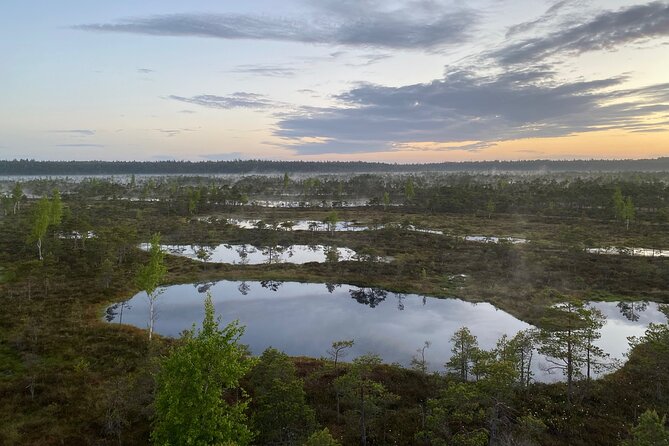 Trip to Kemeri National Park & Jurmala From Riga - Visitor Experience