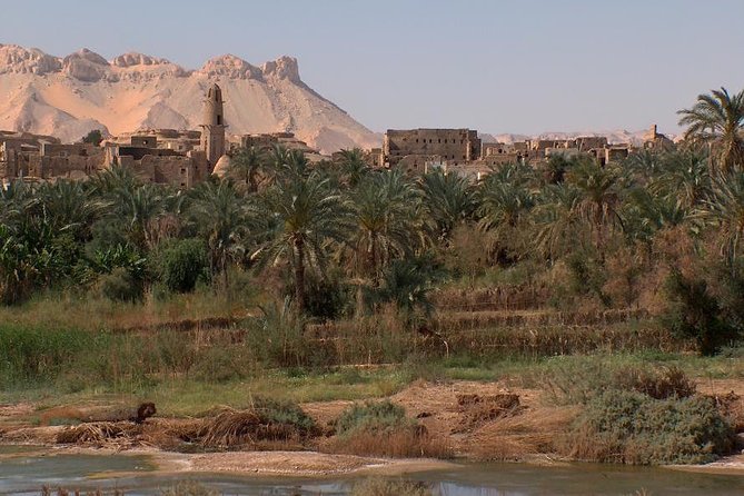 Trip To Kharga And Dakhla Oasis From Luxor - Good To Know