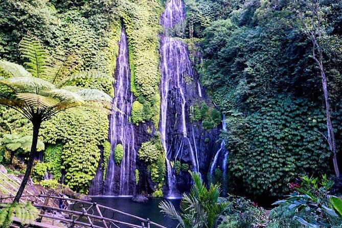 Trip to Paradise in Bali Banyumala Waterfall And Twin Lake - Destination Highlights