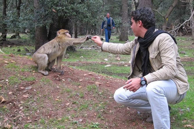 Trip To Sahara Days 3 / 2 Nights From Fez To Marrakech ( Luxury ) - Booking Details