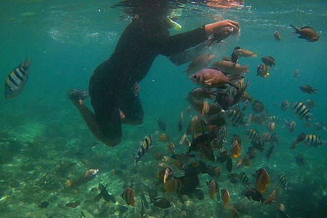 Trip to the Exotic Pink Beach - Tour Highlights and Inclusions