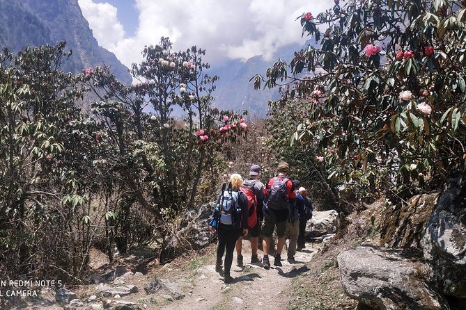 Trip to the Heart of the Himalayas: A Stunning Langtang and Gosaikunda Trek - Pricing and Guarantee