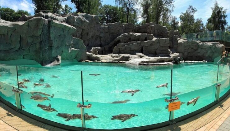 Trip to the Kraków Zoo - Key Points