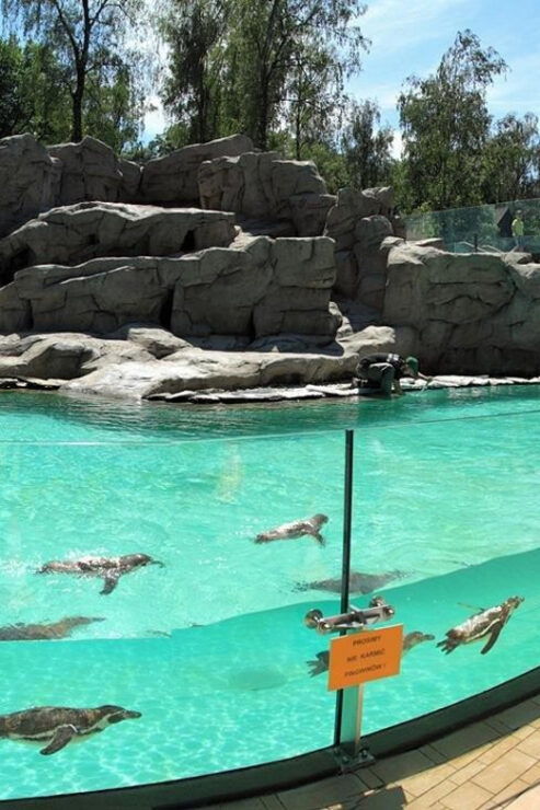 Trip to the Kraków Zoo - Booking Information