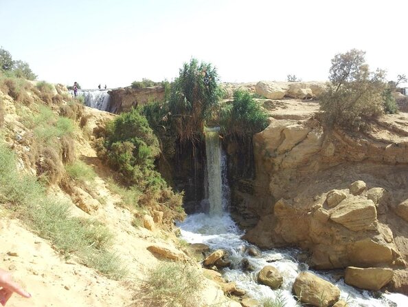 Trip to Wadi El-Hitan and El Fayoum Waterfalls From Cairo - Good To Know