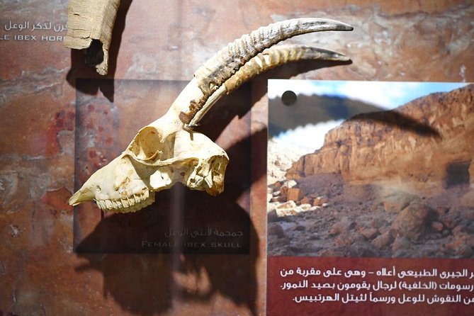 Trip to Wadi El-Hitan and El Fayoum Waterfalls From Cairo - Tour Highlights