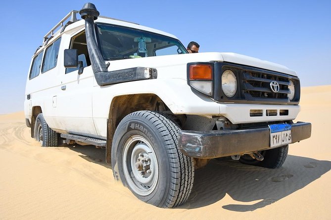 Trip to Wadi El-Hitan and El Fayoum Waterfalls From Cairo - Pick-Up Logistics