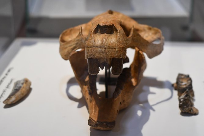 Trip to Wadi El-Hitan, Wadi El-Rayyan & Al Fayyom Oasis Adventure - Tour Details