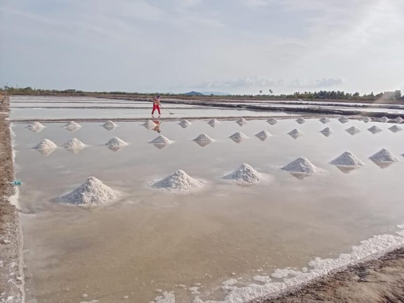 Trip with Local tuk tuk to Country side & Pepper farm... - FAQ About the Kampot Countryside & Pepper Farm Tour