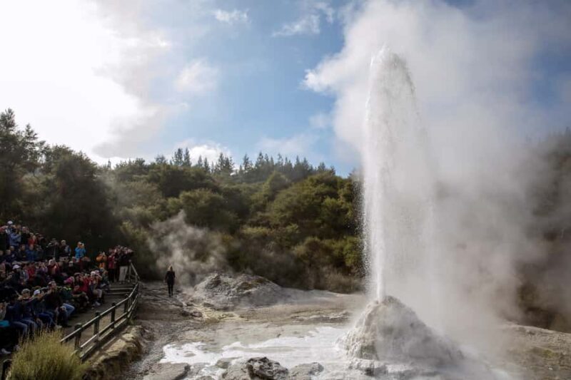 TRIPLE DEAL Wai-O-Tapu, Redwood & Blue Spring from Auckland - Authentic Insights from Travelers