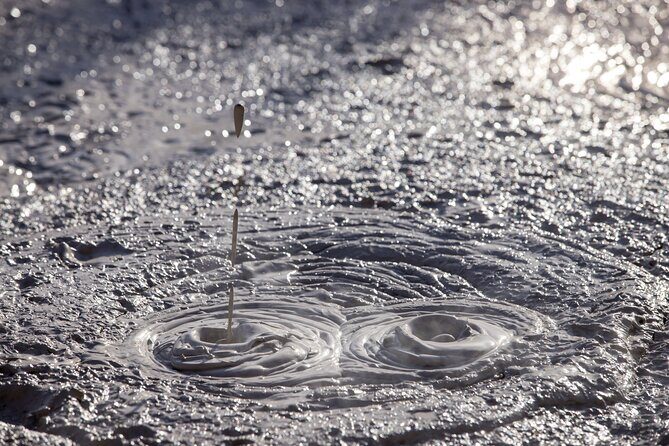 TRIPLE DEAL Wai-O-Tapu, Redwood Forest & Blue Springs Ex Auckland - Is This Tour Right for You?