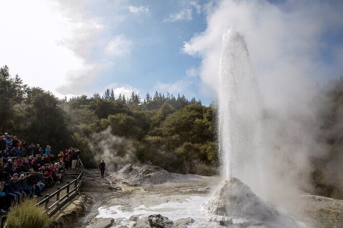 TRIPLE DEAL Wai-O-Tapu, Redwood Forest & Blue Springs Ex Auckland - Final Thoughts