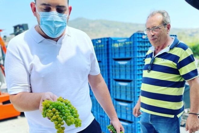 Tripoli: Mantineia Wine Tour - Cancellation Policy and Booking Process