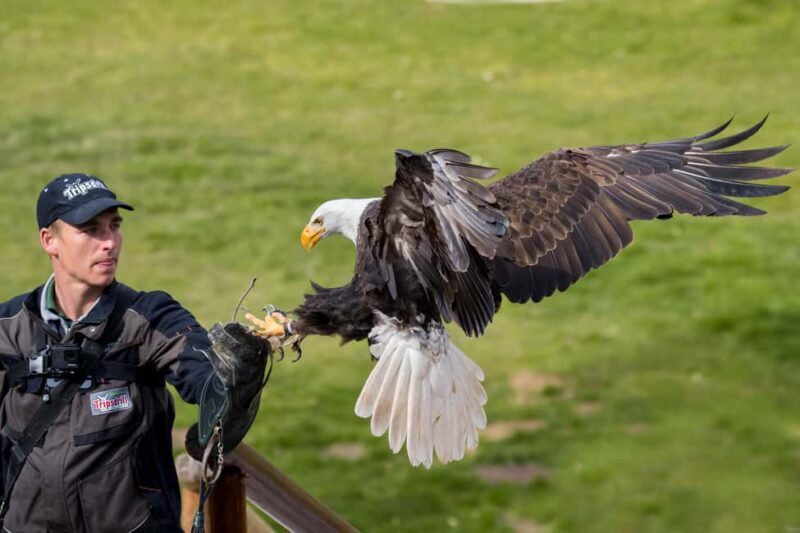 Tripsdrill Wildlife Park: Admission Ticket - Final Thoughts