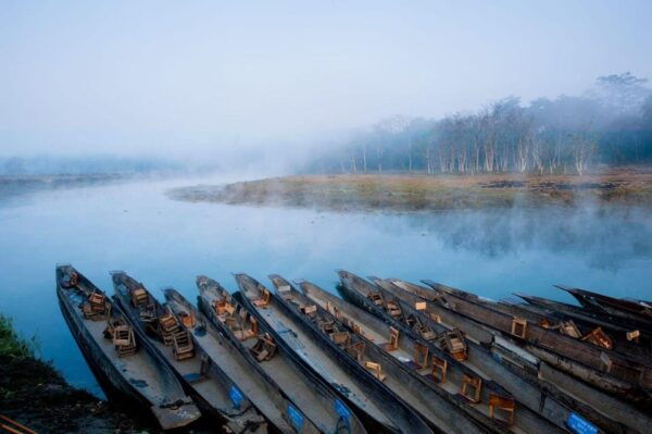 Trishuli Rafting & Chitwan Safari: Nepal Adventure Combo - Break Down