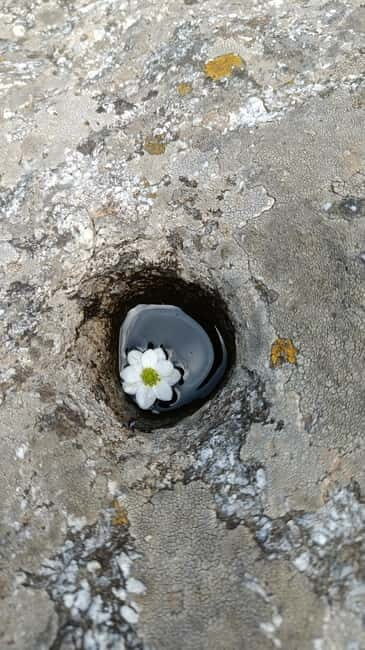 Triund Day hike | Alt 2870 Mtr - The Sum Up