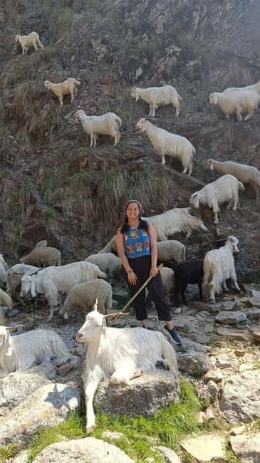 Triund Day hike | Alt 2870 Mtr - Good To Know