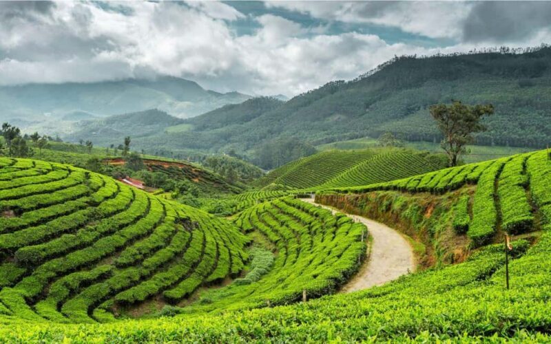 Trivandrum Hills, Villages, History & Waterfalls Guided Tour - What You Can Expect from the Tour