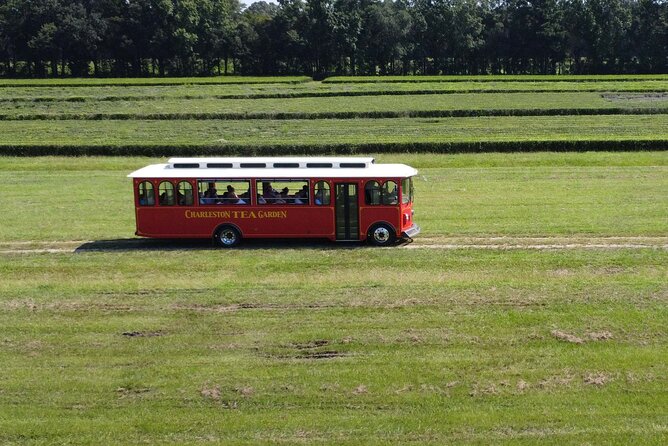 Trolley Tour in Wadmalaw Island of South Carolina - Meeting and Pickup