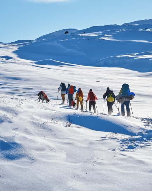 Trolltunga Day Hike - The Itinerary in Detail