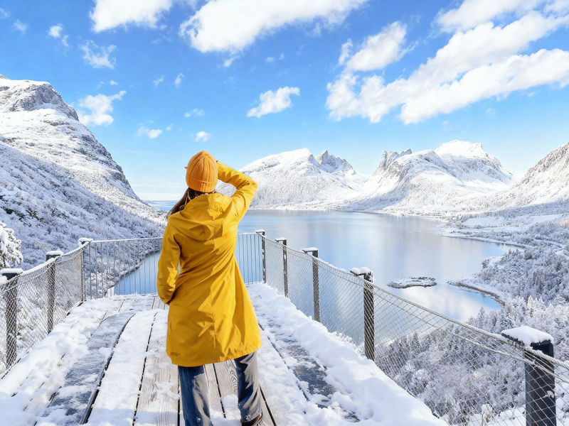 Tromsø Senja Island Full-Day Tour (Including Sightseeing Route) - At a glance