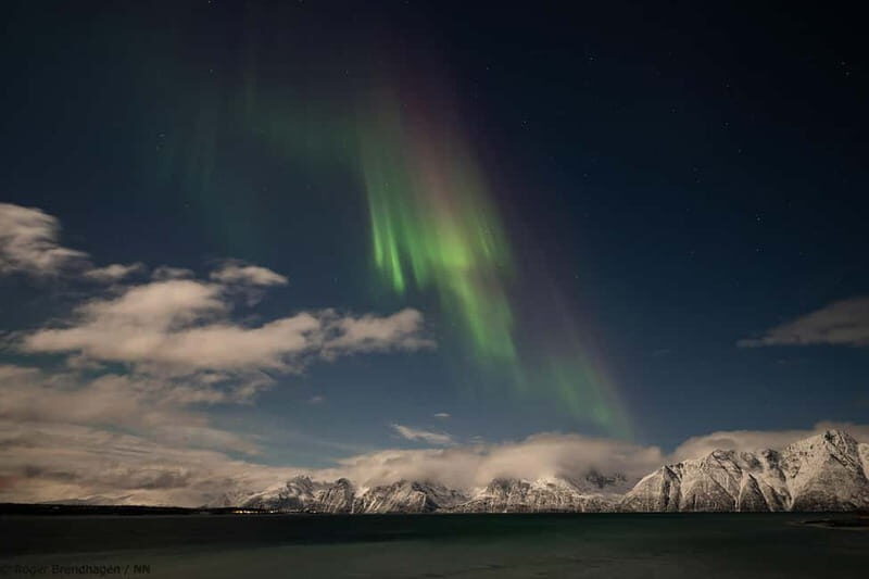 Tromsø: 24hr Northern Lights & Whale Watching Cruise - Good To Know