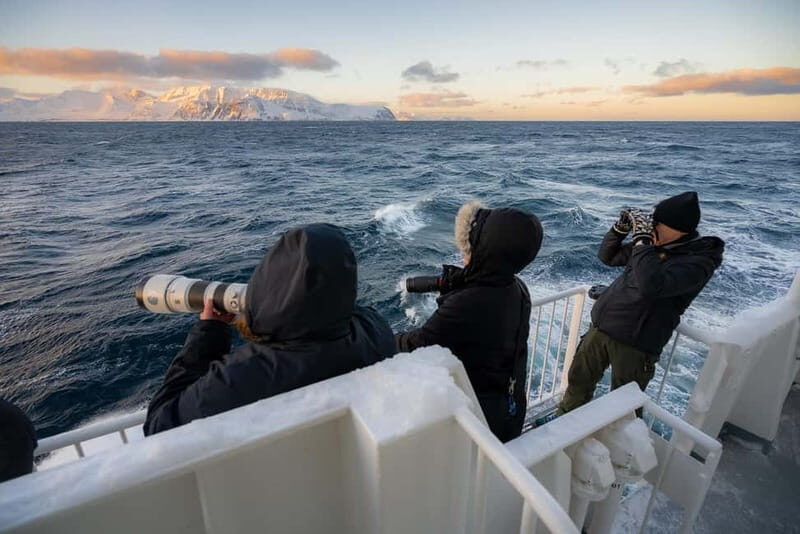 Tromsø: 24hr Northern Lights & Whale Watching Cruise - What Makes This Tour Stand Out?