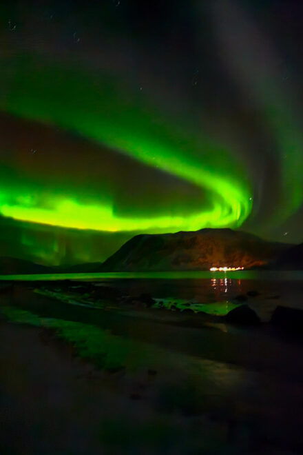 Tromsø: 7 Hours Northern Lights Tour - Cuisine Tasting Opportunities
