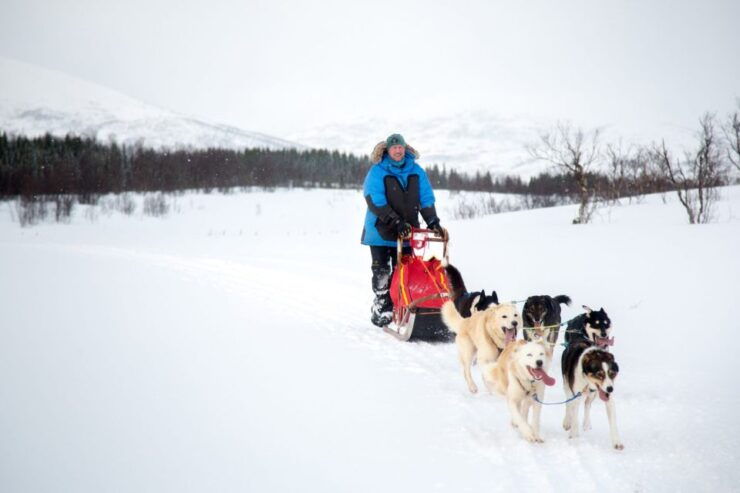 Tromso: 8-Day Dog Sledding Expedition With Alaskan Huskies - Booking Information