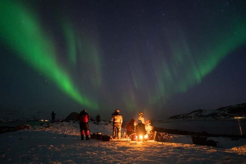 Tromsø: Adult Only Aurora hunt with Citizen Science - Good To Know