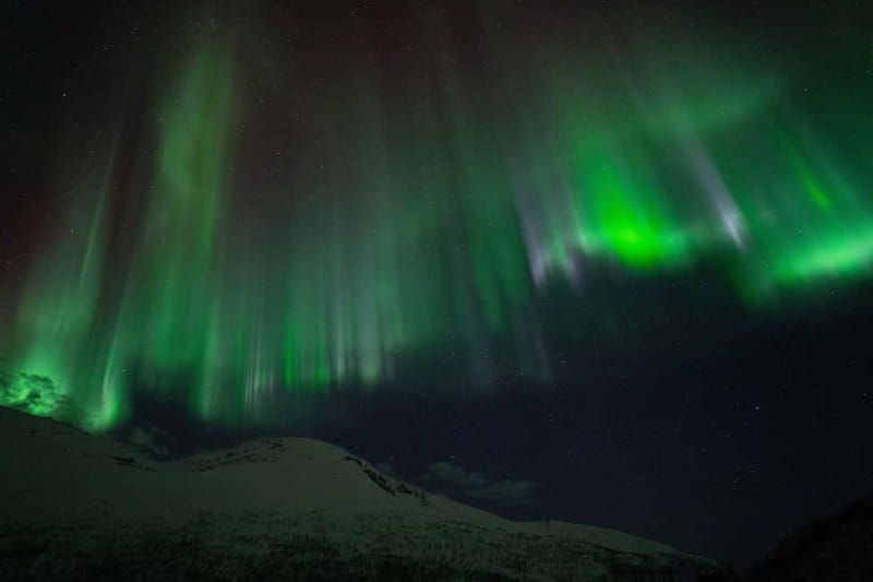 Tromsø: Adult Only Aurora hunt with Citizen Science - Pricing and Value