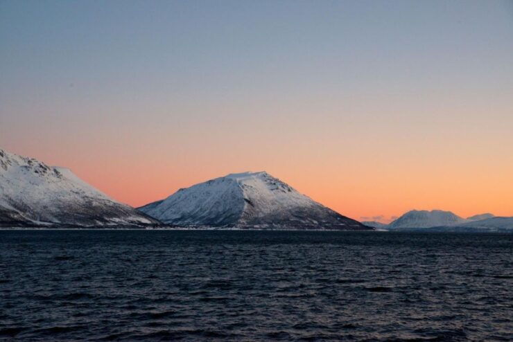 Tromsø: Arctic Fjord Cruise in Polar Landscapes - Activity Details