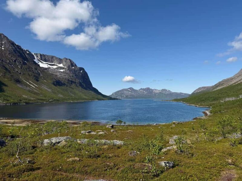 Tromso: Arctic Fjord & Nature Tour with Snacks & Hot Drinks - Good To Know