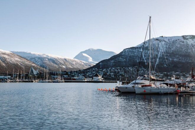 Tromsø: Arctic Flavors Food Walking Tour - Culinary Exploration