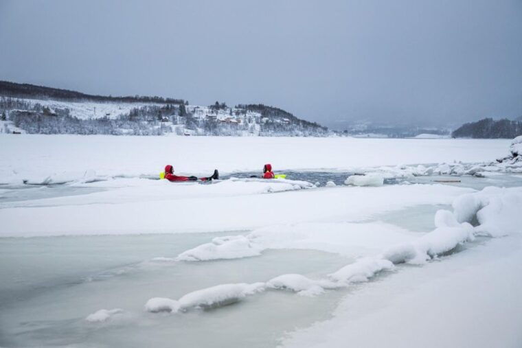 Tromsø: Arctic Floating with Snacks and Drinks - Final Thoughts