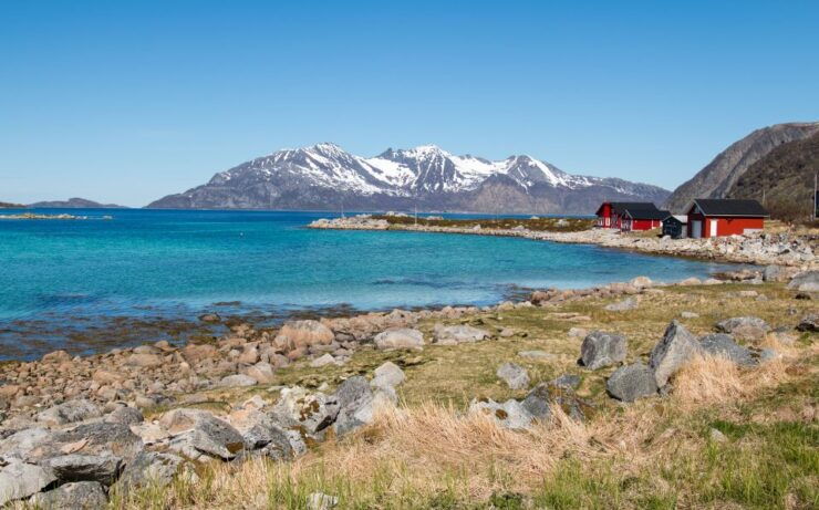 Tromsø: Arctic Landscapes Sightseeing With Citizen Science - Group Size and Guide