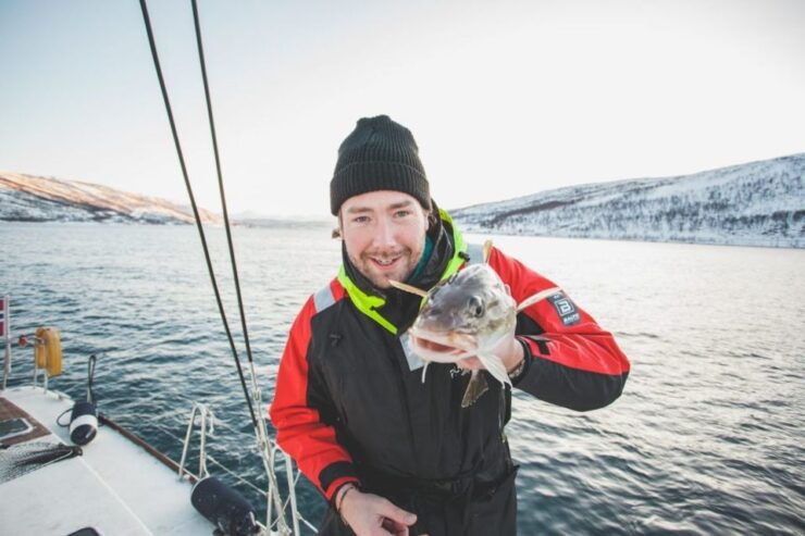 Tromsø: Arctic Sailing Safari - Experience Highlights