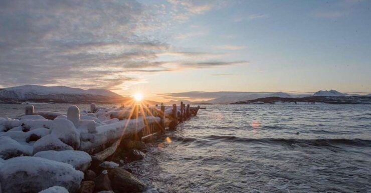Tromsø: Arctic Sightseeing Tour & Citizen Science Project - Tour Duration and Guide Information