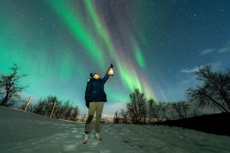 Tromsø: Aurora Borealis, Campfire, Hot Meal, Arctic Tour - What to Expect from the Tromsø Aurora Borealis Tour