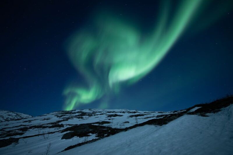 Tromsø: Aurora Borealis, Campfire, Hot Meal, Arctic Tour - Authentic Experiences and Traveler Insights