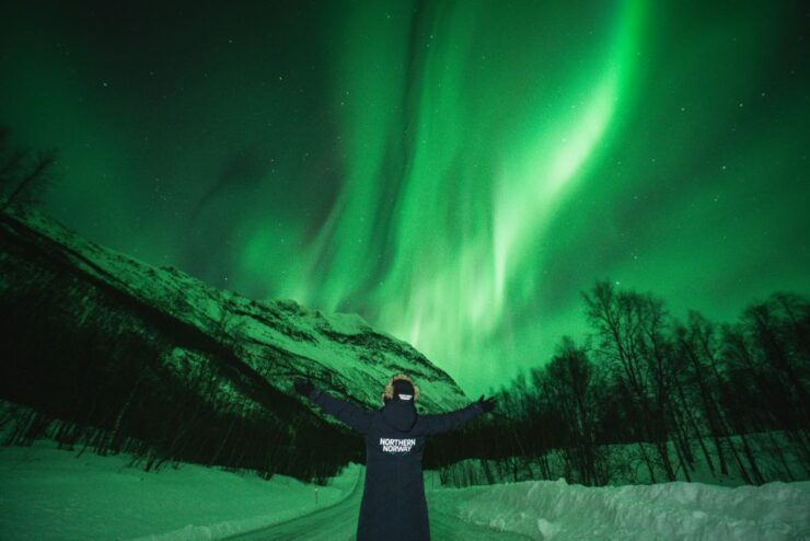 Tromsø: Aurora Borealis Chase With Guide, Meals & Campfire - Activity Details