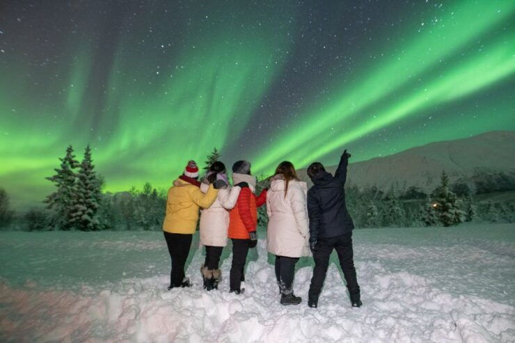 Tromsø: Aurora Camp Northern Lights Experience With Hot Meal - Booking Details