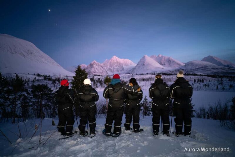 Tromsø: Aurora Crystal Lavvo Overnight Stay with Activities - Who Is This Tour Best For?