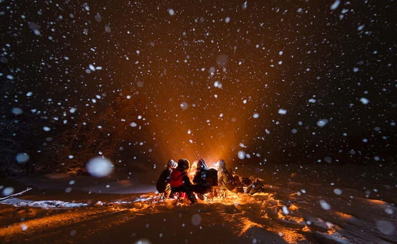 Tromsø: Aurora Hunt with Citizen Science - Real Experiences from Travelers