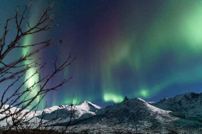 Tromsø: Aurora Quest small group Adventure - What’s Included and What You Should Know