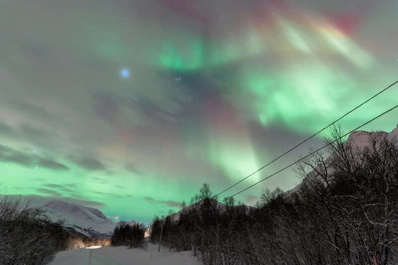 Tromsø: Aurora Quest small group Adventure - The Sum Up